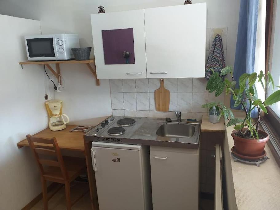 Cap Dauphine Apartment Гренобъл Екстериор снимка