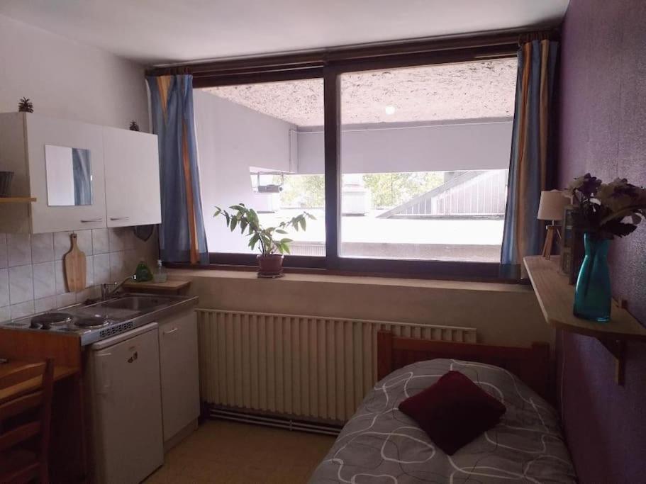Cap Dauphine Apartment Гренобъл Екстериор снимка