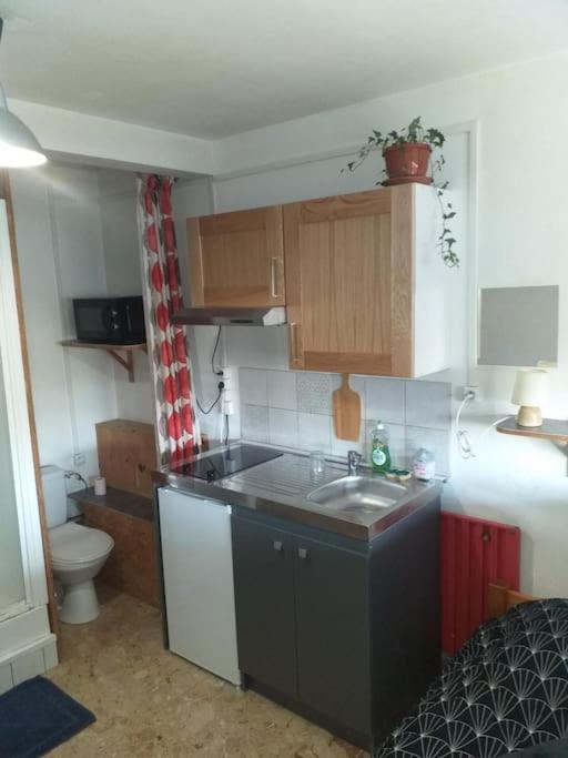 Cap Dauphine Apartment Гренобъл Екстериор снимка