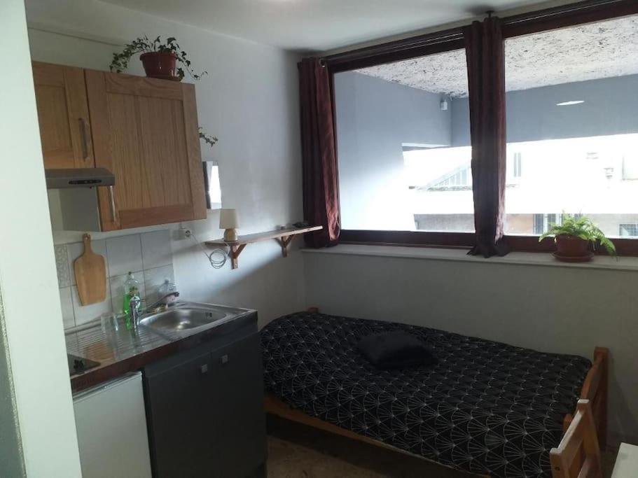 Cap Dauphine Apartment Гренобъл Екстериор снимка