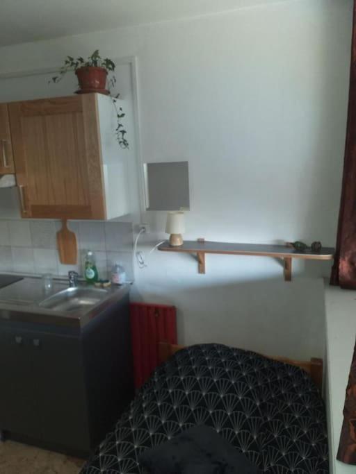 Cap Dauphine Apartment Гренобъл Екстериор снимка