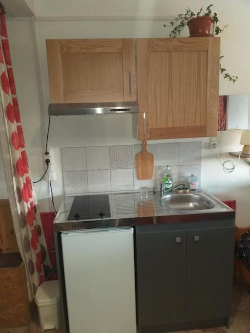Cap Dauphine Apartment Гренобъл Екстериор снимка